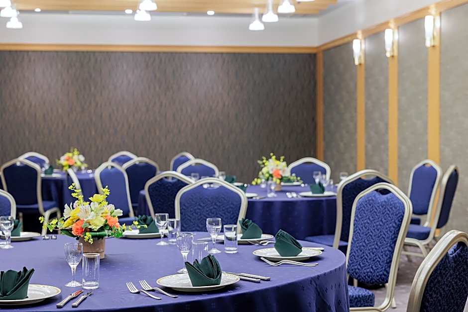 Art Hotel Niigata Station