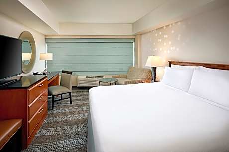 1 King Suite Sofabed