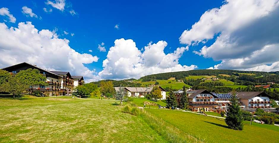 Der Trattner - Hotel Trattnerhof & Hotel Schöcklblick