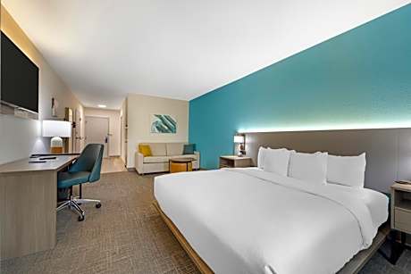 1 King Bed, Suite, Nonsmoking