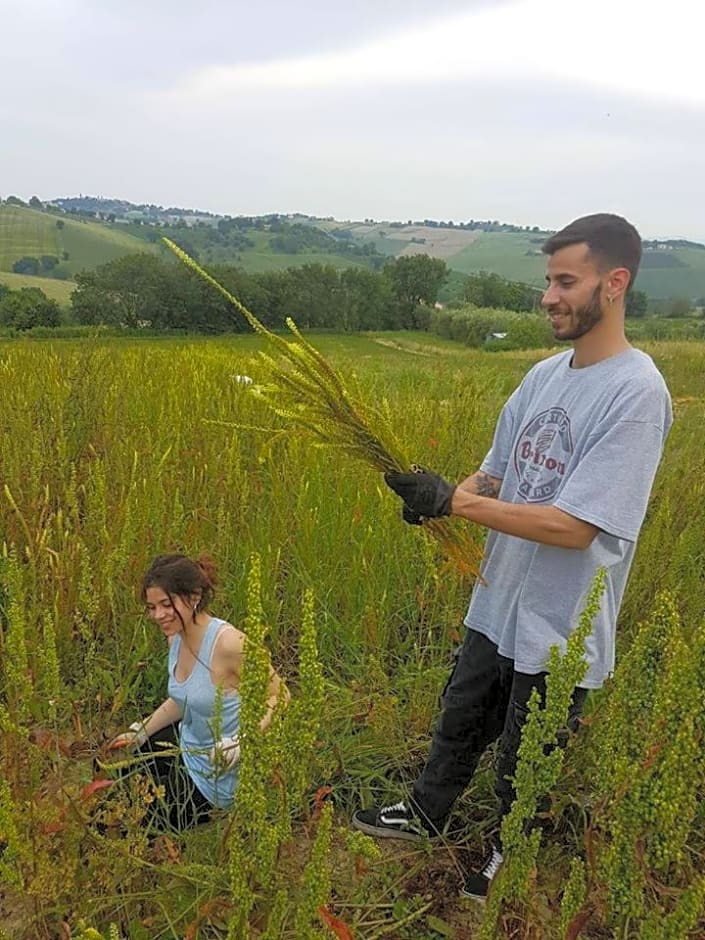 Agriturismo Campo Aperto