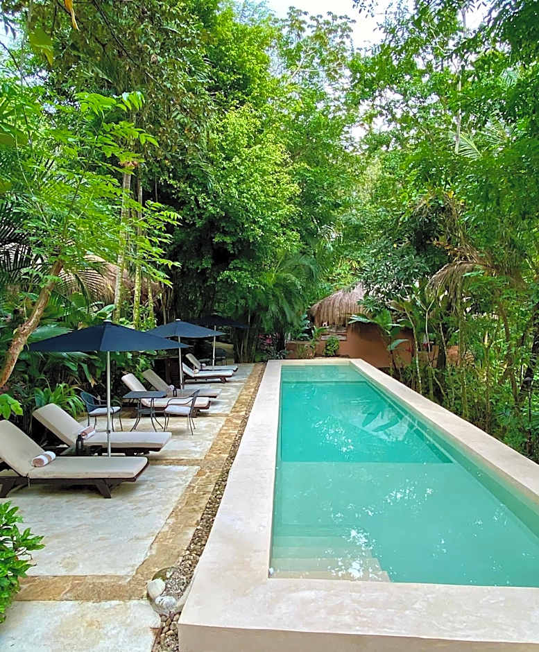 Piedra de Agua Palenque