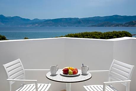 Superior Double or Twin Room with Sea View