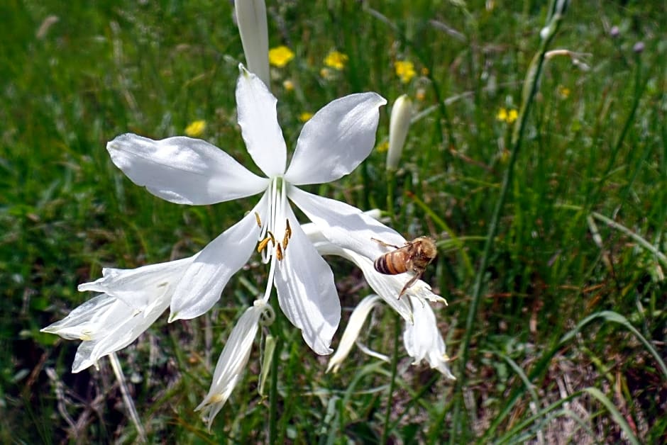 Le Temps d'une Pause