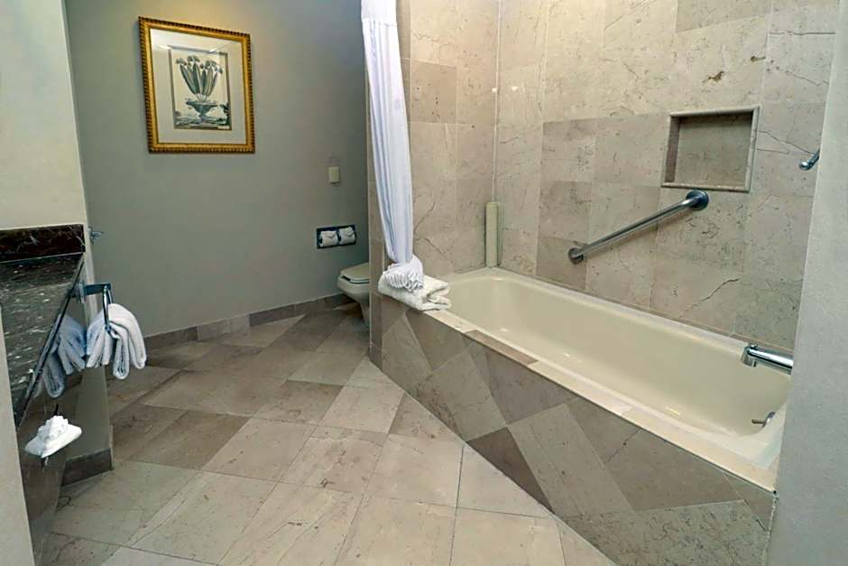 MS Milenium Monterrey, Curio Collection by Hilton