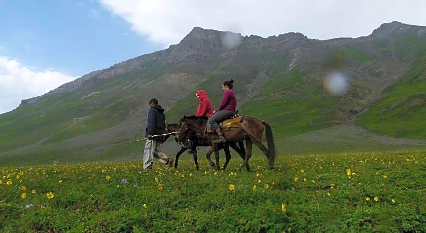 Houseboat Zaindari Palace