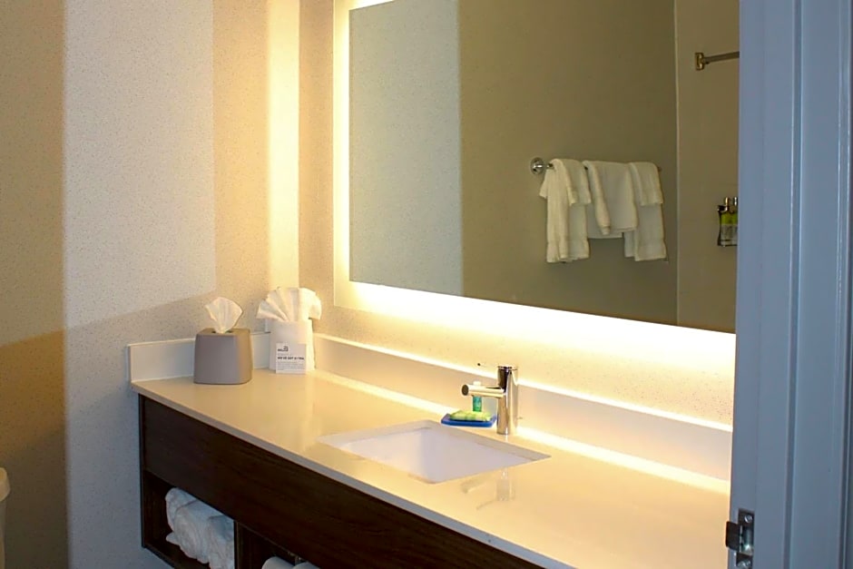 Holiday Inn Express Hotel & Suites Raton By IHG