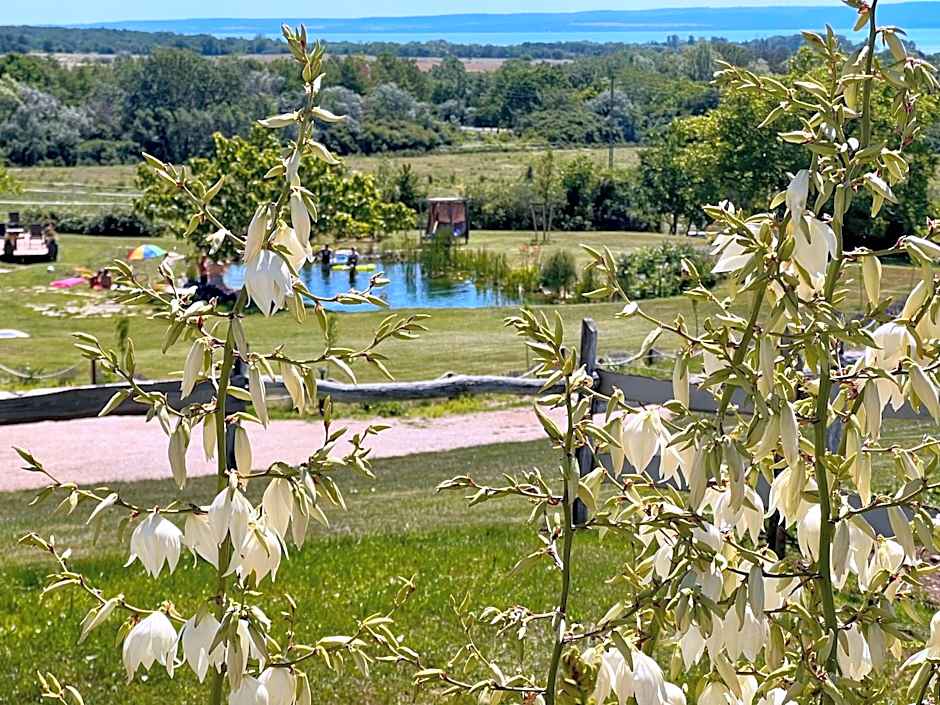 Tenger-szem Panzió és Lovasudvar