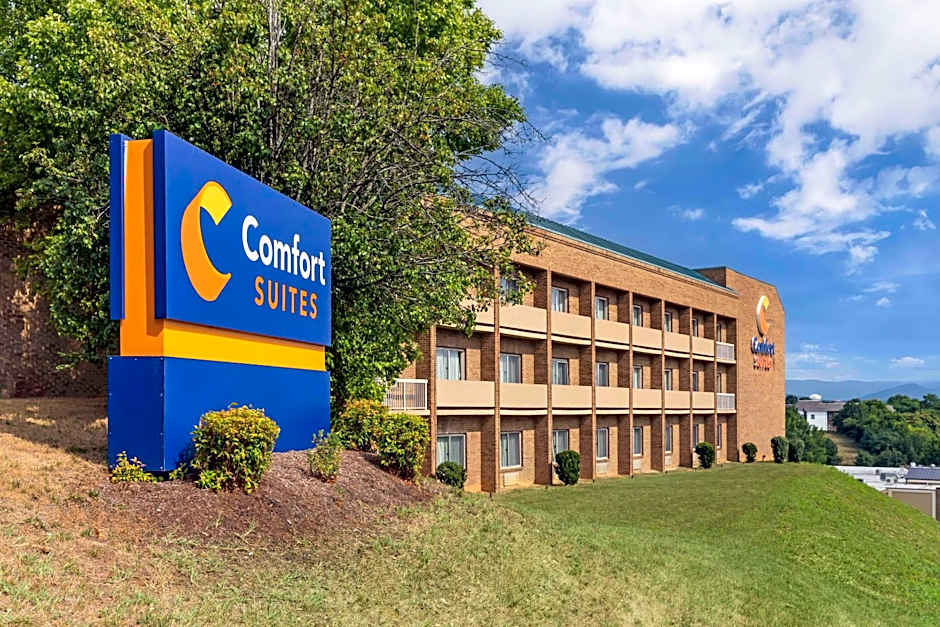 Comfort Suites Inn At Ridgewood Farm