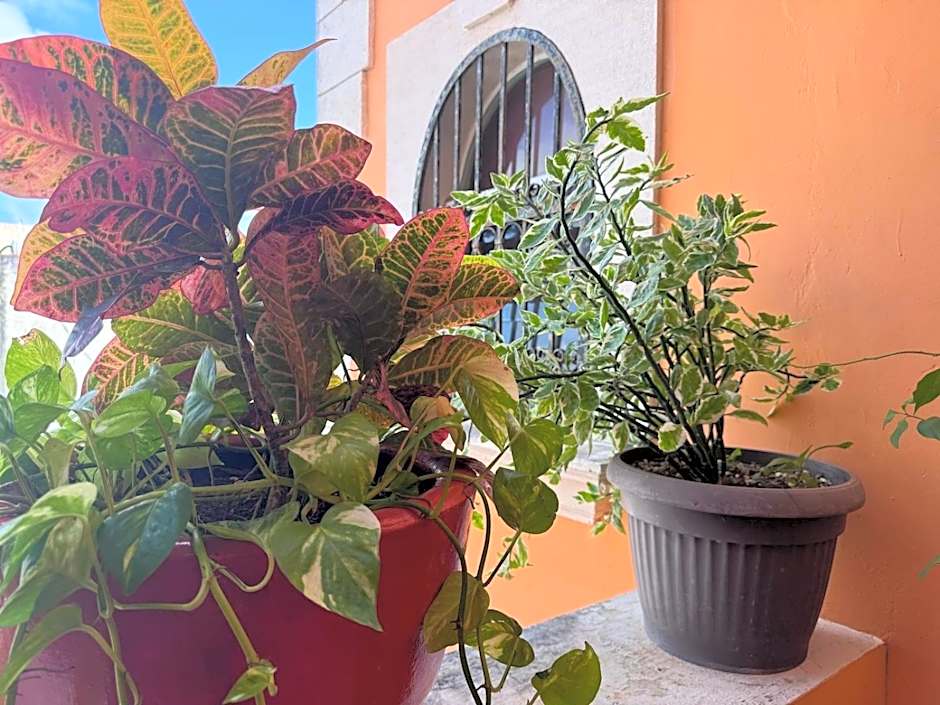 Hotel Casa Mallorca