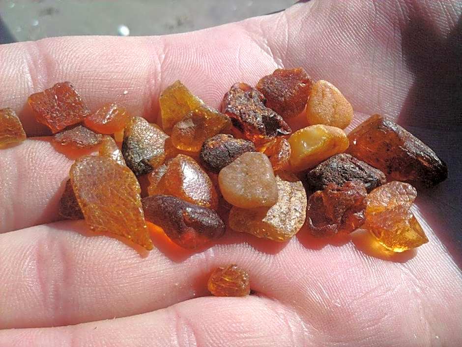 Jantar, dom blisko plaży z sauną