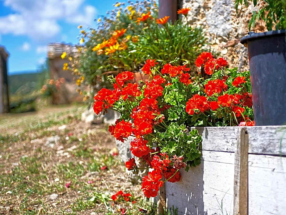 Torre Della Chiocciola