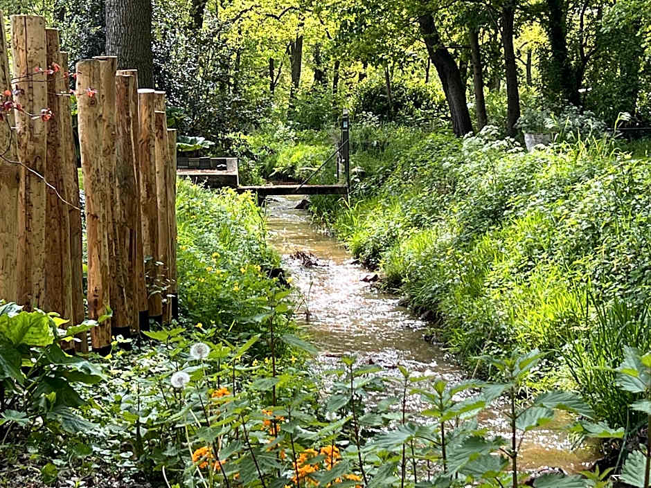 Magnolia Hoeve - Unieke Bestemming voor Paardenliefhebbers en Bijzondere Overnachtingen in de natuur