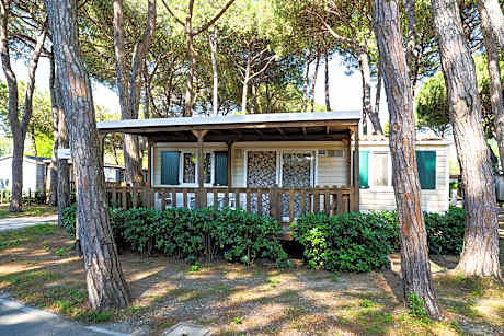 Lodge Superior - Capacity 7