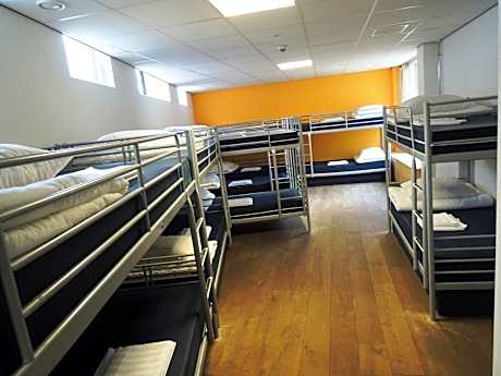 Single Bed in 10-Bed Dormitory Room