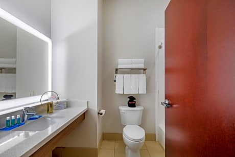 King Room with Hearing Accessible Trans Shower - Non-Smoking