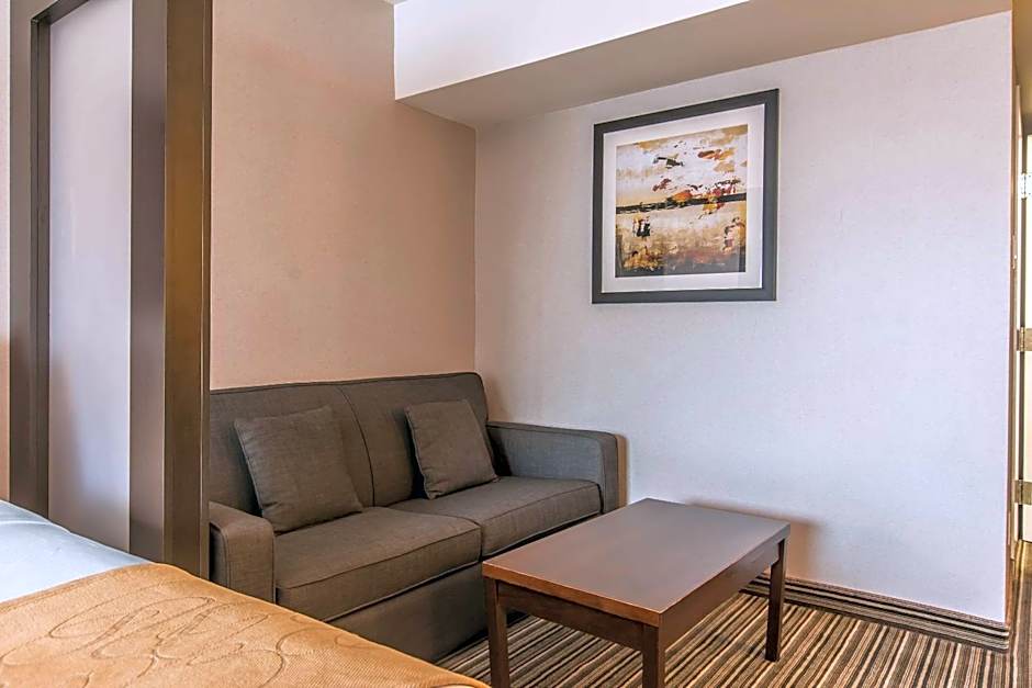 Comfort Suites Downtown