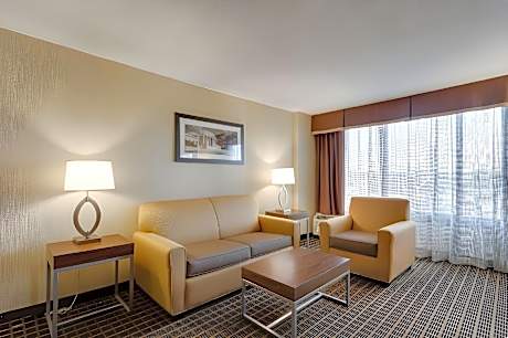 1 Bedroom Suite Non-Smoking