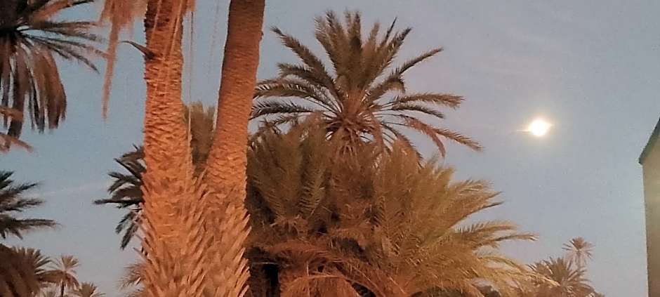 Auberge Aain Nakhla
