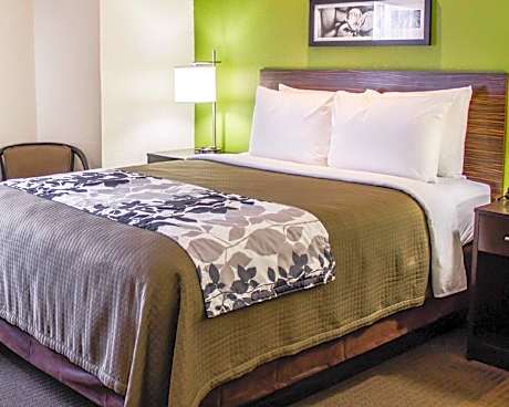 1 Queen Bed Nonsmoking