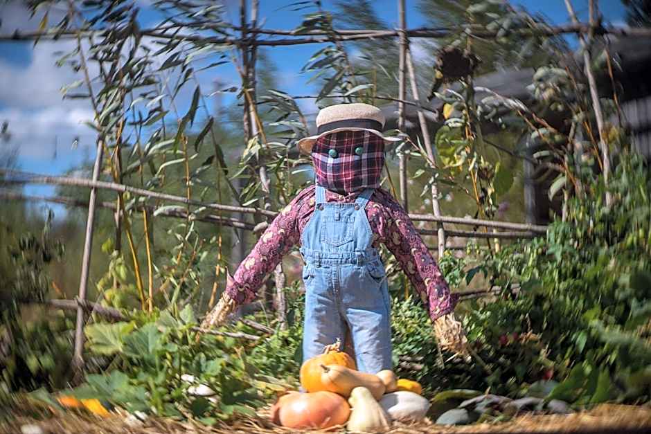 Le jardin des 4 saisons