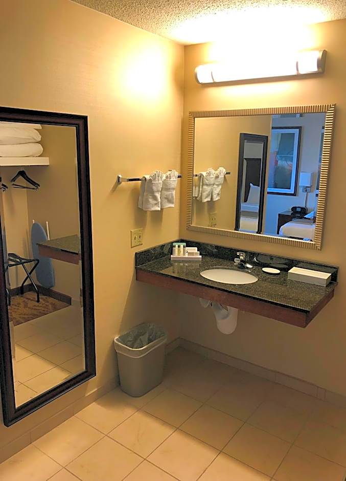 Kahler Inn And Suites