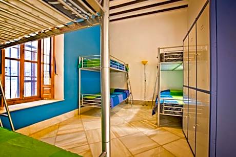 Bed in 6-Bed Mixed Dormitory Room