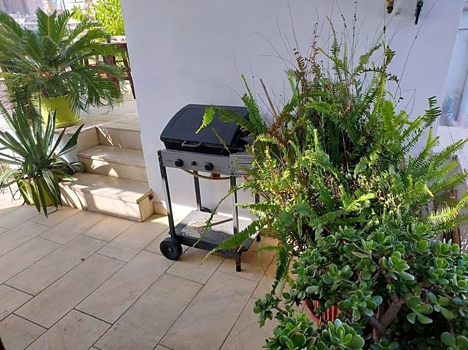 Naples in the history 4M