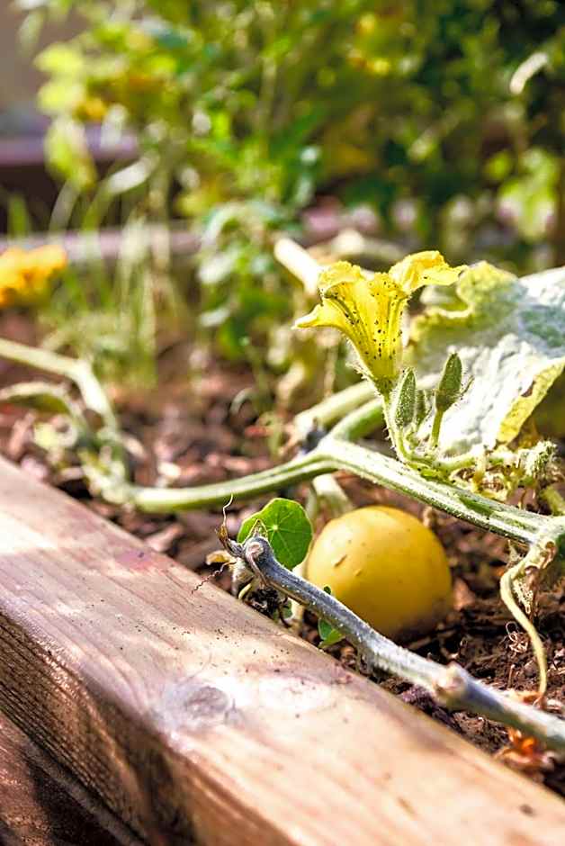 The People - Paris Bercy