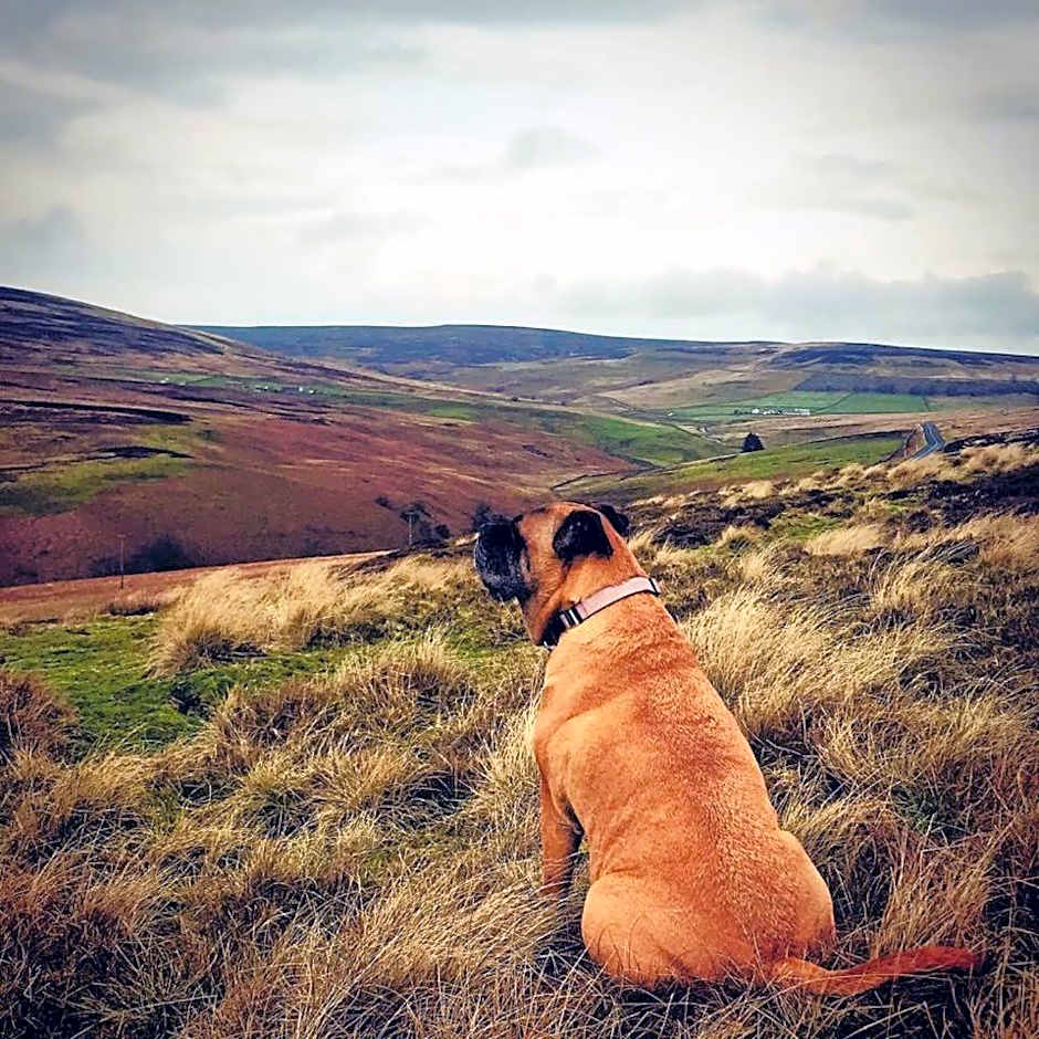 Micro Barn Mickleton Barnard Castle