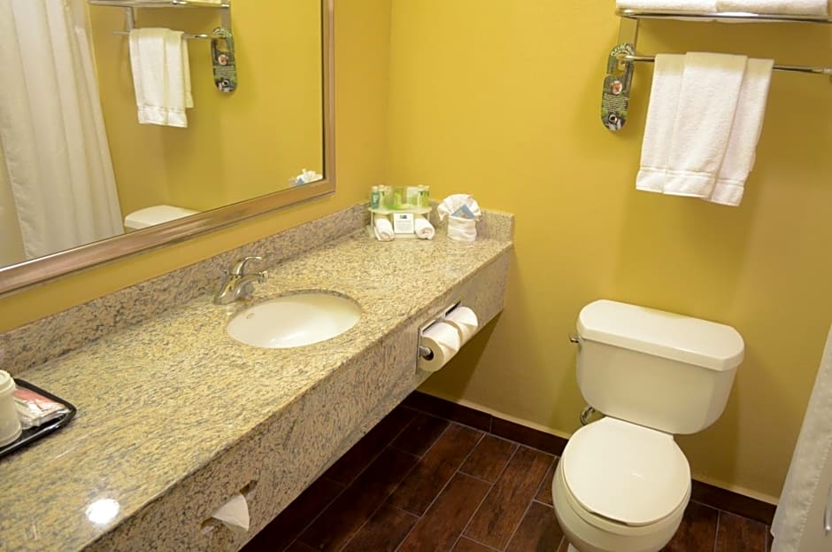 Holiday Inn Express Hotel & Suites Houston-Downtown Convention Center By IHG