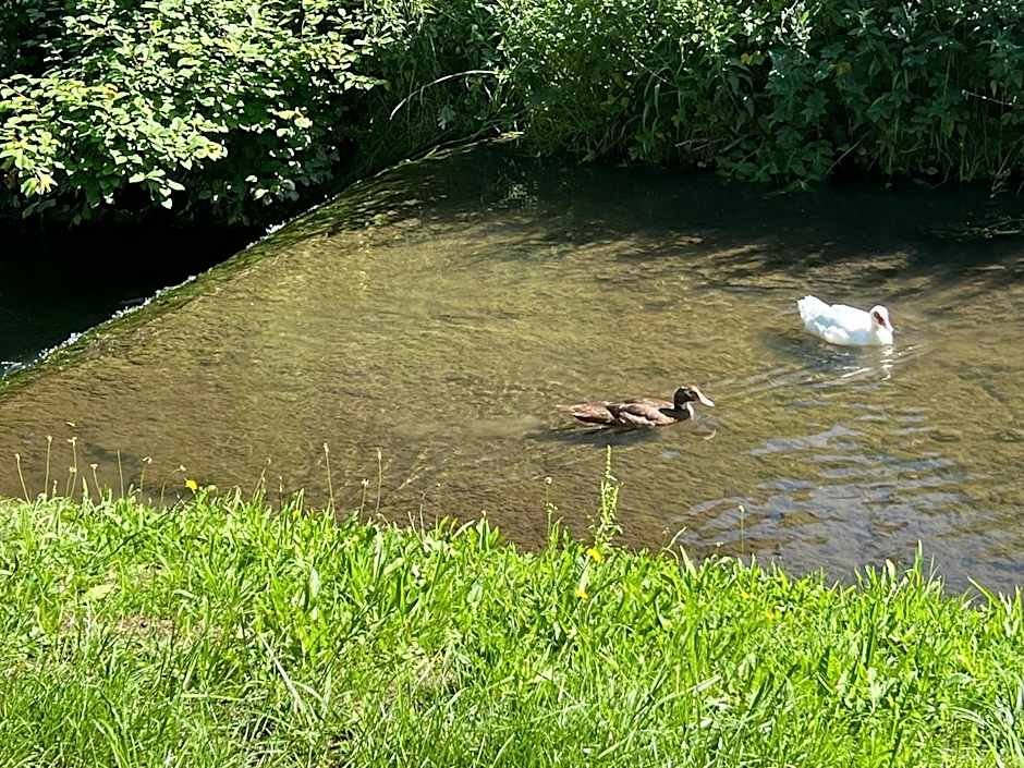 Hotel Hirsch Fluorn Schwarzwald