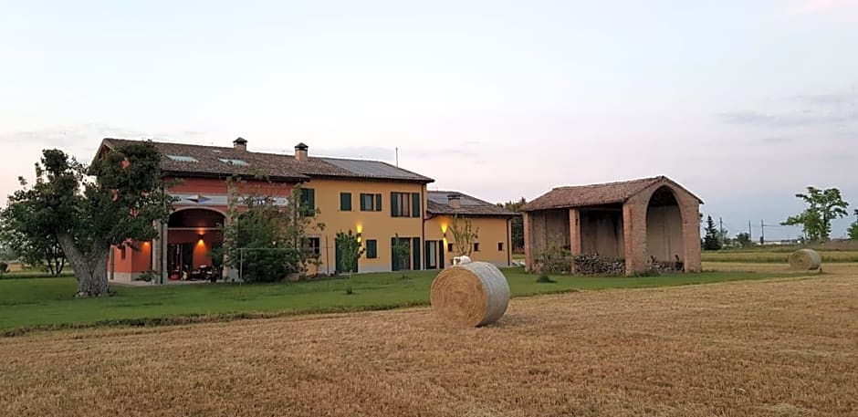 La casa dei gatti