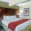 Comfort Suites At Virginia Center Commons