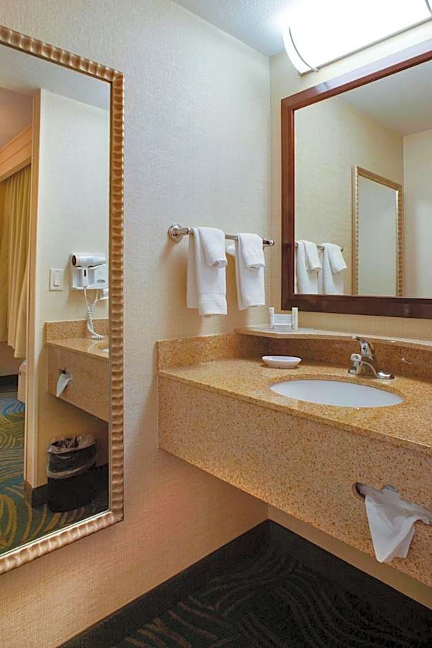 SpringHill Suites by Marriott Savannah Airport