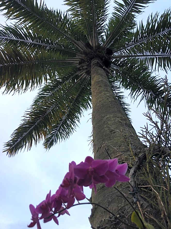 Hotel Morro De São Paulo