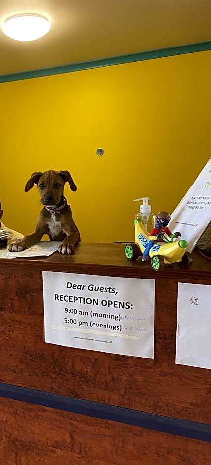 Cool Bananas Backpackers