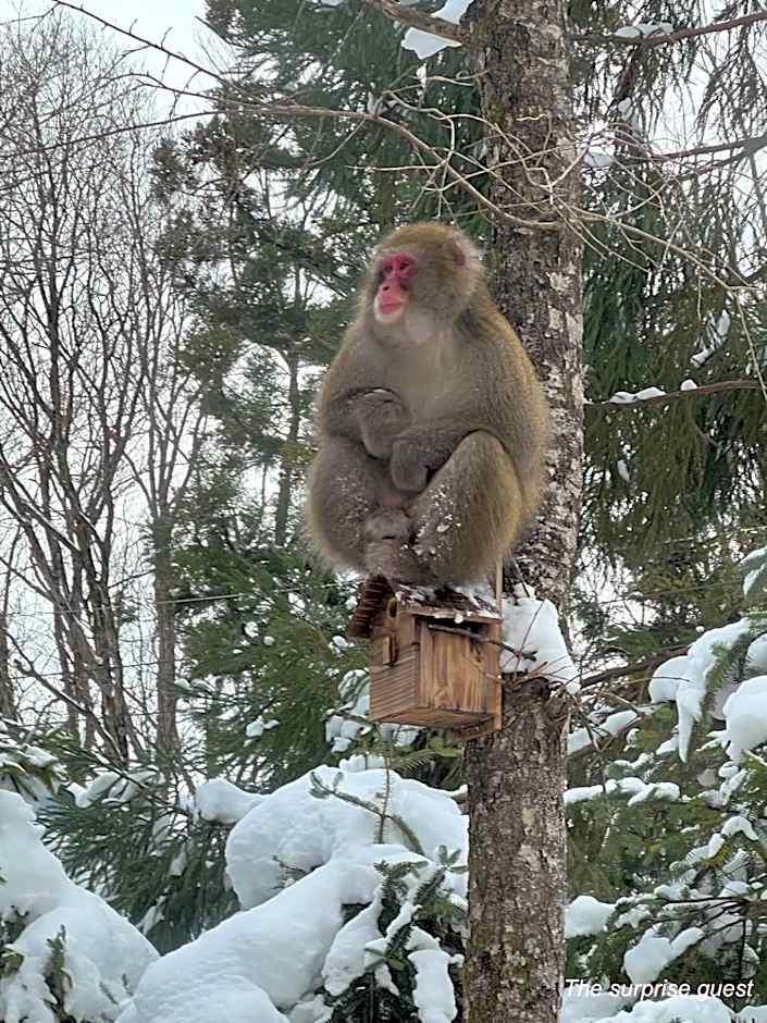 The Guest House Japan Hakuba