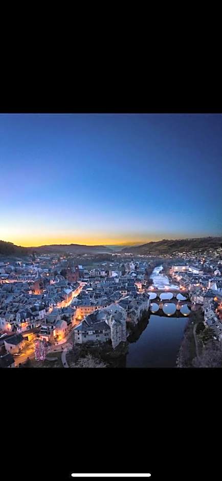 Appart'Hôtel - Au Vieux Palais