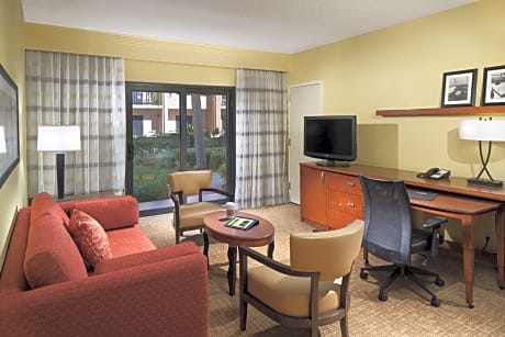 Suite, 1 Bedroom (1 King Bed and 1 Double Sofa Bed)