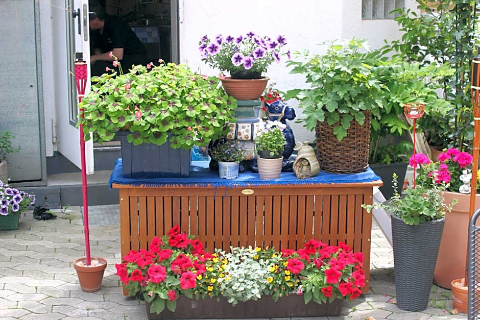 Restaurant / Pension Mainzer Tor