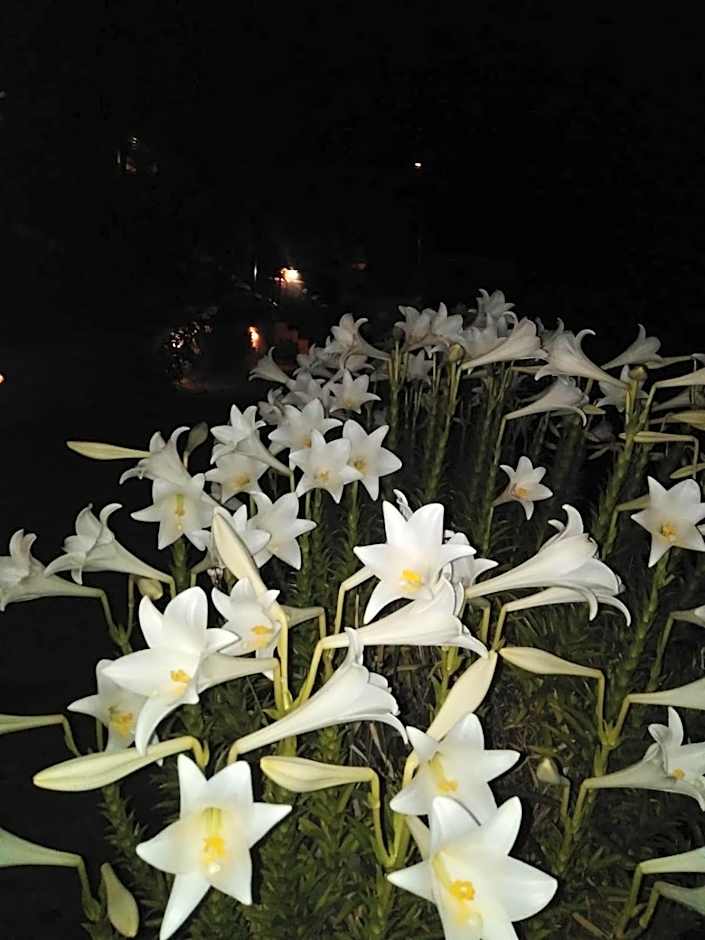 Hotel Rural La Raya 1866