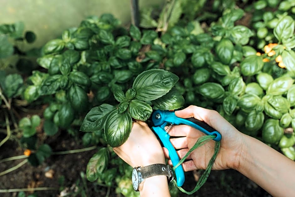 Maruia River Retreat