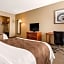 Quality Inn & Suites New Castle