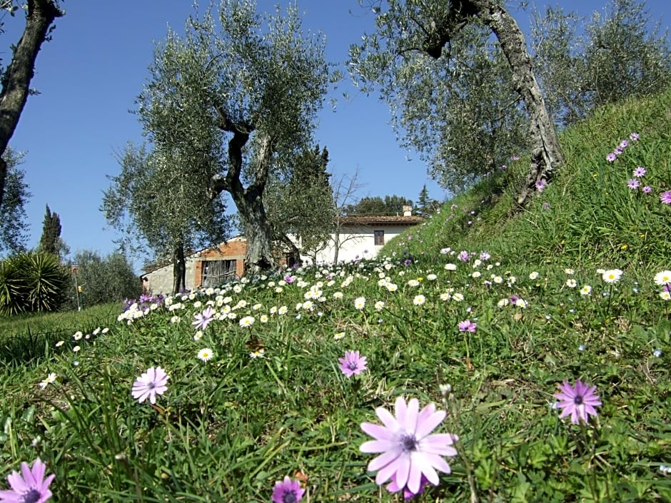 podere Sanlorenzo