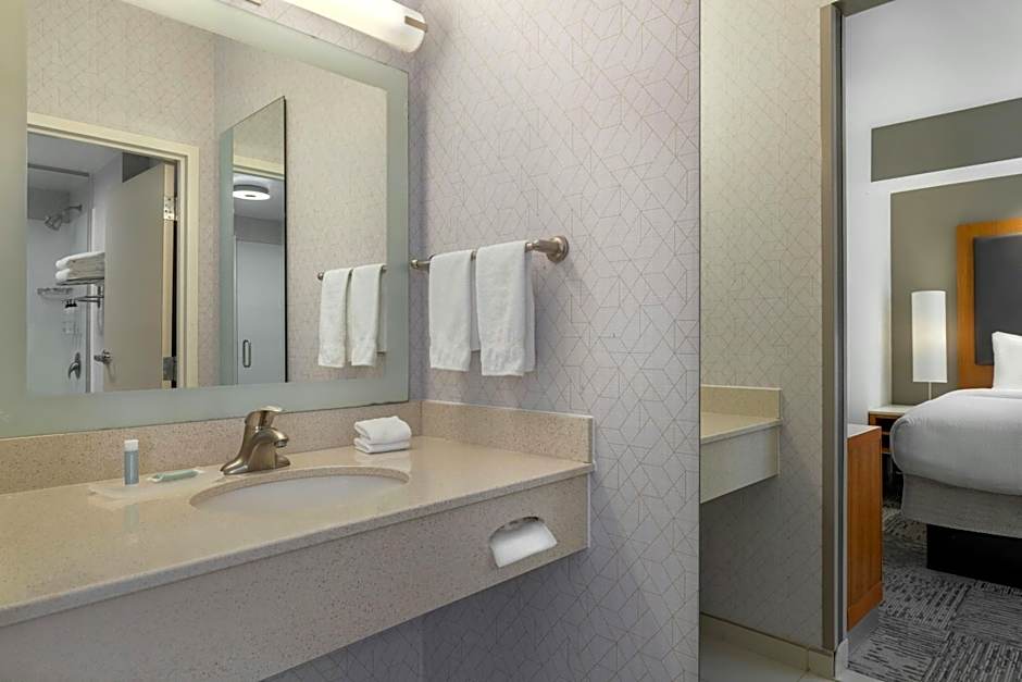 SpringHill Suites by Marriott Winston-Salem Hanes Mall