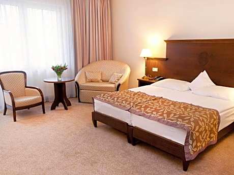 Deluxe Double or Twin Room with Sofa Bed