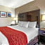 Comfort Inn & Suites Fruita - Grand Junction
