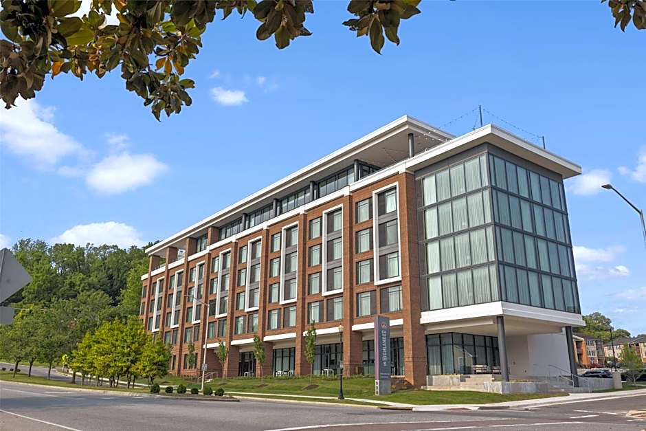 The Highlander at Radford, Tapestry Collection by Hilton