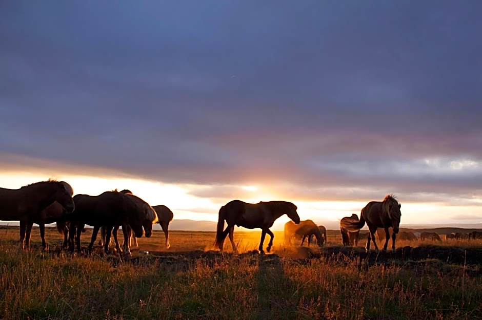 Hótel Eldhestar